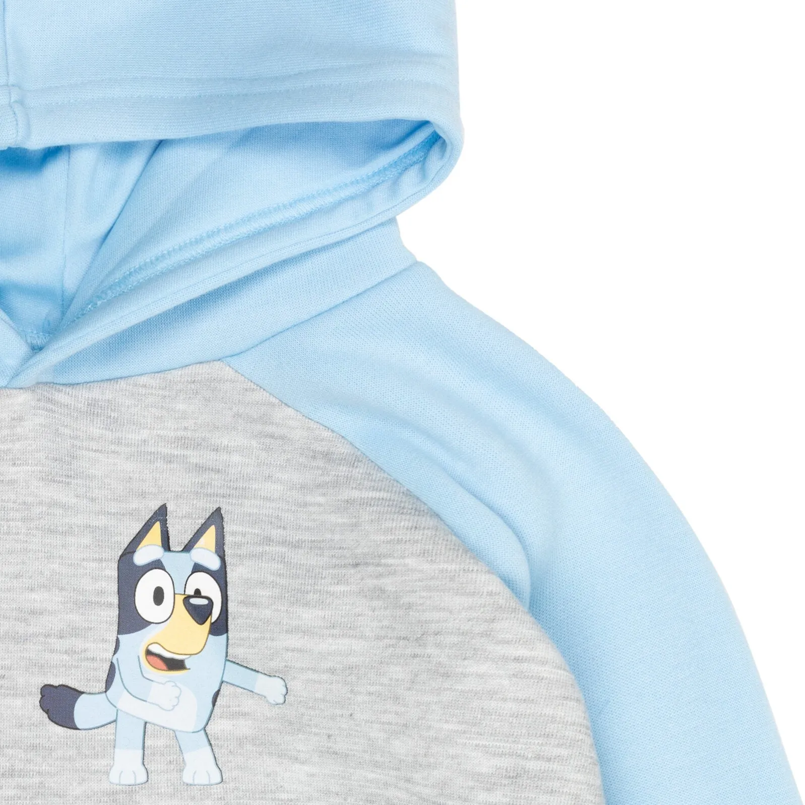 Bluey Fleece Hoodie