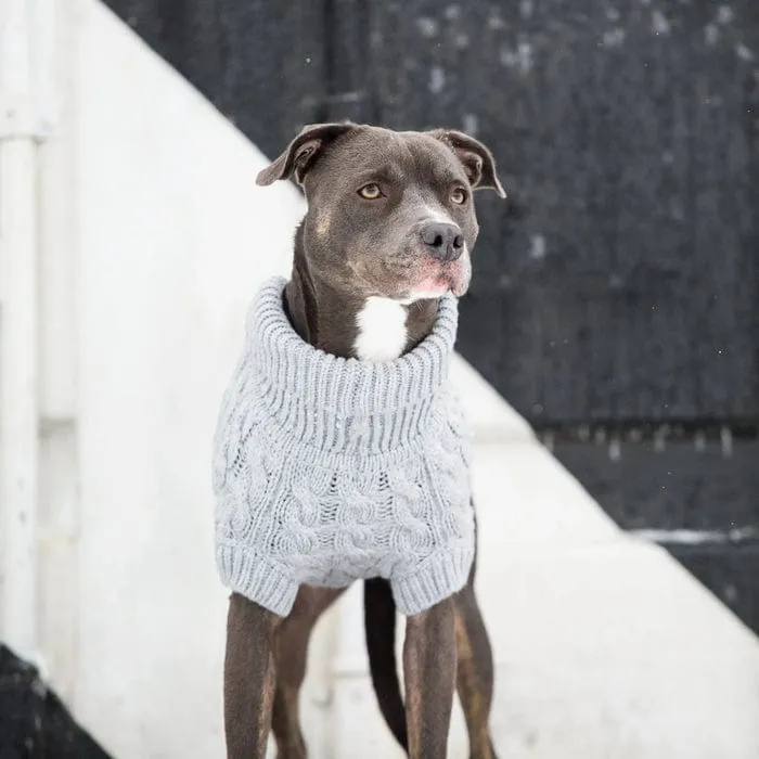 GF Pet Chalet Sweater - Grey Mix for Dogs