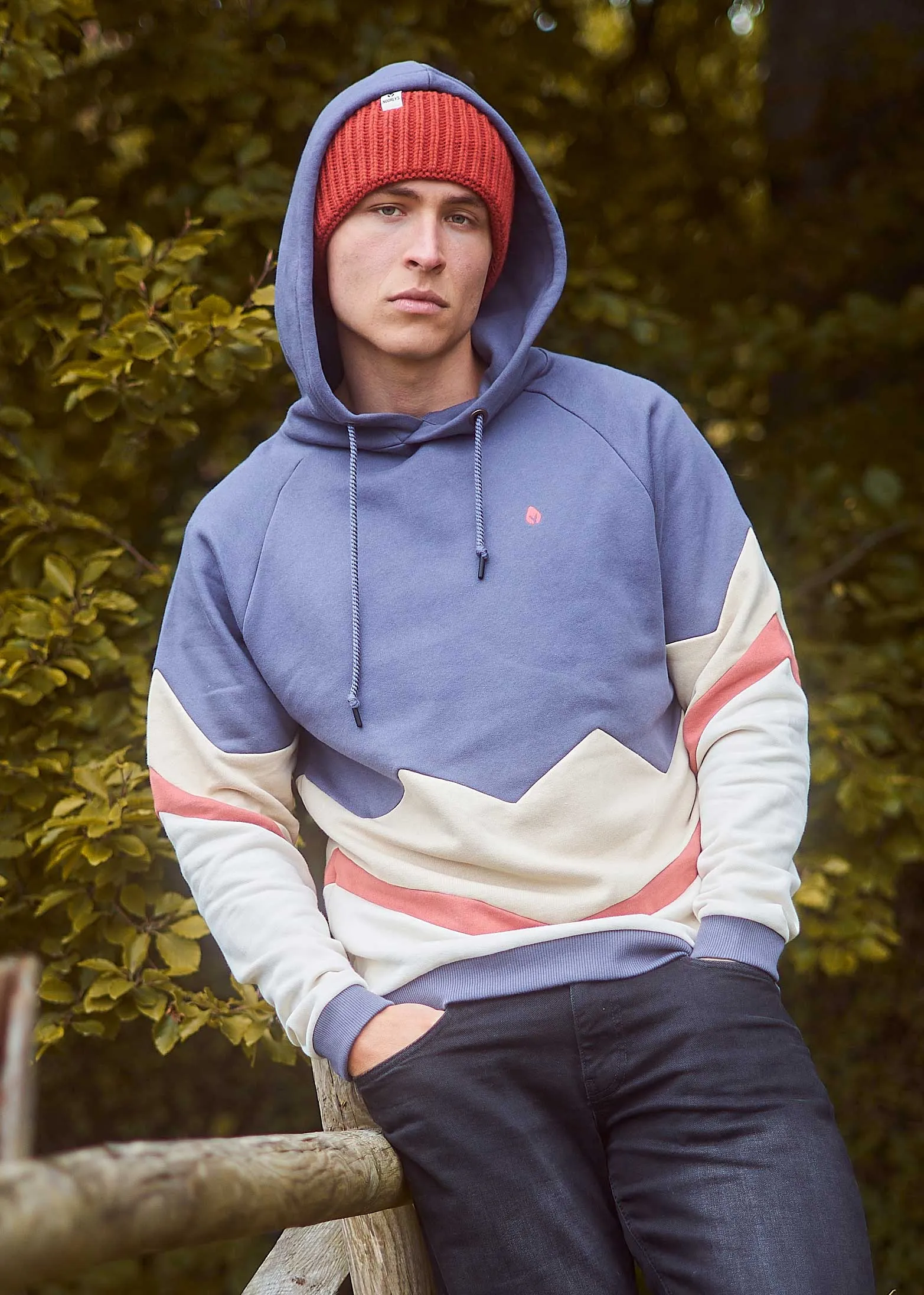 Hoodie BEEVERN GrayStone