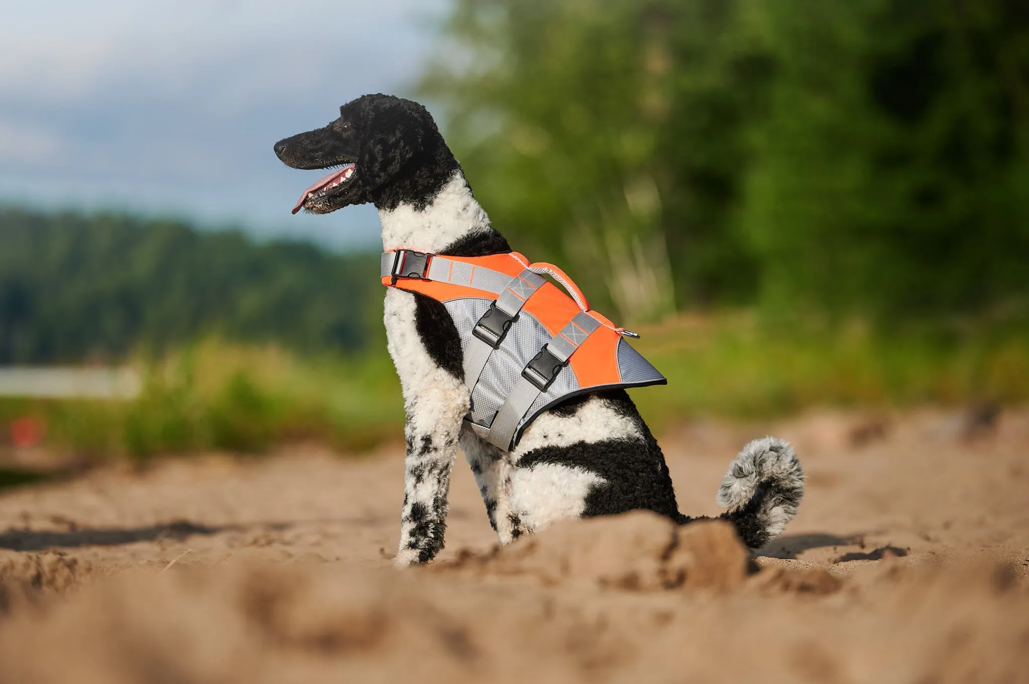 Orange Life Jacket