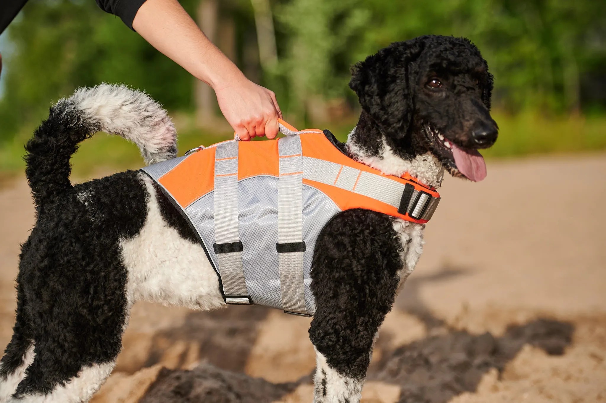 Orange Life Jacket